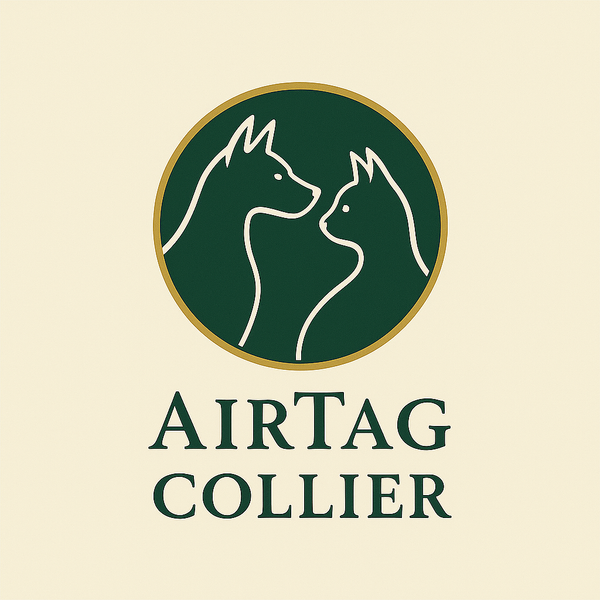AirTag Collier